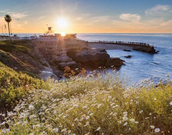 Photo ofHomes for Sale in La Jolla